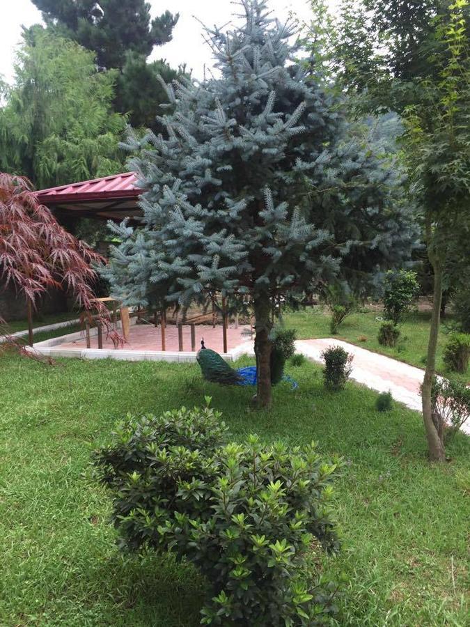 Vacation Home Nukri Gonio Esterno foto