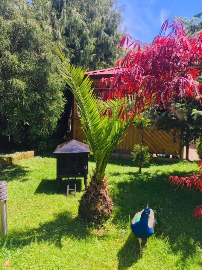 Vacation Home Nukri Gonio Esterno foto